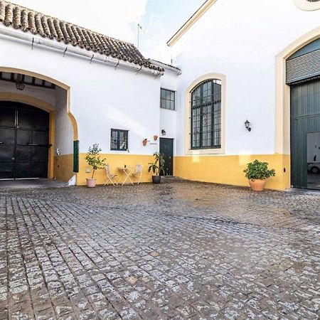 Loft Bodega San Blas Con Porche Y Parking جيريز المظهر الخارجي الصورة